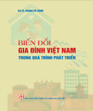 Những biến đổi gia đình Việt Nam trong quá trình phát triển: Phần 2