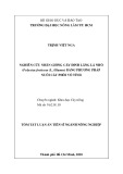 Tóm tắt Luận án Tiến sĩ Khoa học Cây trồng: Nghiên cứu nhân giống cây đinh lăng lá nhỏ (Polyscias fruticosa (L.) Harms) bằng phương pháp nuôi cấy phôi vô tính