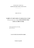 Luận án Tiến sĩ Khoa học Cây trồng: Nghiên cứu nhân giống cây đinh lăng lá nhỏ (Polyscias fruticosa (L.) Harms) bằng phương pháp nuôi cấy phôi vô tính