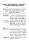 Đánh giá khả năng nhận diện cấu trúc DNA G-Quadruplex song song của phân tử RHAU140-CFP bằng thiết bị đo huỳnh quang