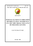 Luận văn Thạc sĩ Y học: Đánh giá tác dụng của điện châm kết hợp cứu bằng “Đai hộp ngải cứu Việt” điều trị đau thắt lưng do thoái hóa cột sống