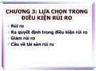 Bài giảng Kinh tế học vi mô nâng cao: Chương 3 - TS. Hoàng Thị Hoài Hương