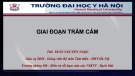 Bài giảng Giai đoạn trầm cảm - ThS. Trần Nguyễn Ngọc