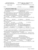 Đề thi giữa học kì 1 môn Lịch sử lớp 11 năm 2023-2024 - Trường THPT Lê Hồng Phong, Quảng Nam