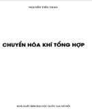 Công nghệ chuyển hóa khí tổng hợp: Phần 2