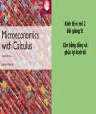 Bài giảng Kinh tế vi mô 2: Bài 9 - Cân bằng tổng và phúc lợi kinh tế