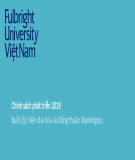 Bài giảng Chính sách phát triển: Buổi 3 - Hiện đại hóa và đồng thuận Washington (Năm 2019)