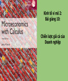 Bài giảng Kinh tế vi mô 2: Bài 10 - Chiến lược giá cả của doanh nghiệp
