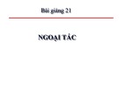 Bài giảng Kinh tế học vi mô dành cho chính sách công: Bài 21 - Ngoại tác (2021)