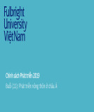 Bài giảng Chính sách phát triển: Buổi 11 - Phát triển nông thôn ở châu Á (2019)