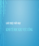 Bài giảng môn Kinh tế học khu vực công: Bài 1 - Đỗ Thiên Anh Tuấn