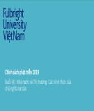 Bài giảng Chính sách phát triển: Buổi 4 - Nhà nước và thị trường: các hình thức của chủ nghĩa tư bản (Năm 2019)