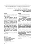 Đánh giá kết quả điều trị phác đồ bevacizumab kết hợp atezolizumab trên ung thư biểu mô tế bào gan