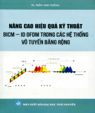 Hệ thống vô tuyến băng rộng - Phương pháp nâng cao hiệu quả kỹ thuật BICM - ID OFDM: Phần 2