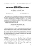 Ảnh hưởng của giá thể và hom giâm đến khả năng nhân giống cây hồ tiêu (Piper nigrum L.)