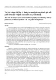 Vai trò chụp cắt lớp vi tính pha muộn trong đánh giá nốt phổi đơn độc ở bệnh nhân điều trị phẫu thuật