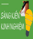 Sáng kiến kinh nghiệm THPT: Phát triển năng lực đặc thù cho học sinh thông qua phân tích kênh hình phần Di truyền học và Sinh lý động vật trong bồi dưỡng HSG quốc gia, HSG cấp tỉnh môn Sinh học