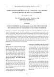 Nghiên cứu tổng hợp hệ xúc tác Mg – Al hidrotanxit/ γ-Al2O3 cho phản ứng este chéo hóa mỡ động vật tạo biodiesel