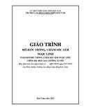 Giáo trình Trồng, chăm sóc sâm ngọc linh (Nghề: Trồng, chăm sóc sâm ngọc linh) - Trường Cao đẳng Cộng đồng Kon Tum