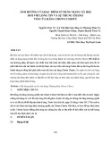 Ảnh hưởng của đặc điểm sử dụng mạng xã hội đối với lòng tin và sự trung thành với cửa hàng Chewy Chewy