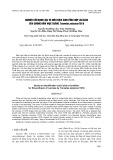 Nghiên cứu định loại và điều kiện sinh tổng hợp Laccase của chủng nấm mục trắng Trametes polyzona TĐ16
