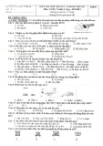 Đề thi học kì 2 môn Công nghệ lớp 6 năm 2022-2023 có đáp án - Trường THCS Chu Văn An, Thủ Dầu Một