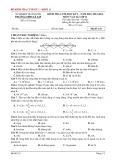 Đề thi học kì 1 môn Vật lí lớp 11 năm 2023-2024 có đáp án - Trường THPT Lê Lợi, Quảng Trị