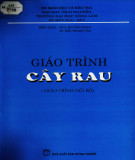 Giáo trình Cây rau: Phần 1