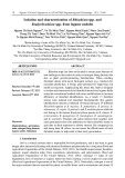 Isolation and characterization of Rhizobium spp. and Bradyrhizobium spp. from legume nodules