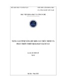 Luận án Tiến sĩ Vật lý: Nâng cao tính năng đế SERS cấu trúc MFON và phát triển thiết bị Raman xách tay