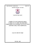 Luận án Tiến sĩ Y học: Nghiên cứu thay đổi huyết động và hiệu quả của điều trị theo đích ở bệnh nhân cao tuổi được gây tê tủy sống cho phẫu thuật thay khớp háng