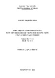Tóm tắt Luận án Tiến sĩ Hóa vô cơ: Tổng hợp và khảo sát khả năng phân hủy Rhodamine B trong môi trường nước của vật liệu nano ferrite