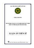 Luận án Tiến sĩ Quản trị nhân lực: Ảnh hưởng của di cư lao động đến phát triển kinh tế trên địa bàn tỉnh Bắc Ninh