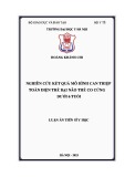 Luận án Tiến sĩ Y học: Nghiên cứu kết quả mô hình can thiệp toàn diện trẻ bại não thể co cứng dưới 6 tuổi