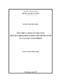 Luận án Tiến sĩ Hóa vô cơ: Tổng hợp và khảo sát khả năng phân hủy Rhodamine B trong môi trường nước của vật liệu nano ferrite