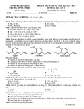Đề thi học kì 1 môn Hóa học lớp 11 năm 2023-2024 - Trường THPT Tân Hiệp, Kiên Giang