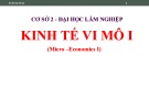 Bài giảng Kinh tế vi mô I (Micro-economics I) - Chương 1: Những vấn đề cơ bản về kinh tế học