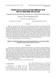 Xác định Salmonella typhimurium gây bệnh thương hàn ở vịt đẻ nuôi tại xã Phụng Thượng, Phúc Thọ, Hà Nội