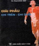 Thực hành giải phẫu chi trên - chi dưới: Phần 1