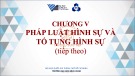 Bài giảng Pháp luật đại cương - Chương 5: Pháp luật hình sự và tố tụng hình sự (tt2)