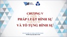 Bài giảng Pháp luật đại cương - Chương 5: Pháp luật hình sự và tố tụng hình sự