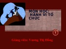 Bài giảng Hành vi tổ chức: Chương 1 - Vương Thị Hồng