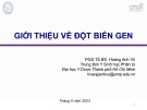 Bài giảng Giới thiệu về đột biến gen - PGS.TS.BS. Hoàng Anh Vũ (2023)