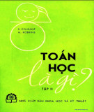 Toán học là gì? - Tập 2