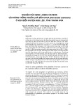 Nghiên cứu định lượng cacbon của rừng trồng thuần loài bần chua (Sonneratia caseolaris) ở ven biển huyện Hậu Lộc, tỉnh Thanh Hóa