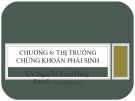 Bài giảng Tiền tệ, ngân hàng và thị trường tài chính 2: Chương 6 - Nguyễn Xuân Dũng