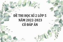 Đề thi học kì 2 lớp 5 năm 2022-2023 (Có đáp án)