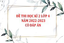 Đề thi học kì 2 lớp 4 năm 2022-2023 (Có đáp án)