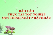 Tổng hợp 14 báo cáo thực tập tốt nghiệp Quy trình xuất nhập khẩu đặc sắc nhất
