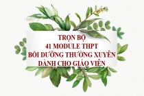 Trọn bộ 41 Module bồi dưỡng thường xuyên giáo viên cấp THPT